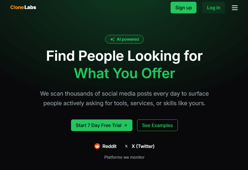 Example cloned SaaS landing page